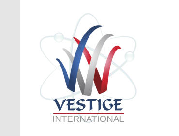 V V VESTIGE INTERNATIONAL