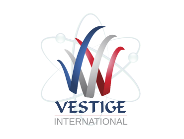 V V VESTIGE INTERNATIONAL